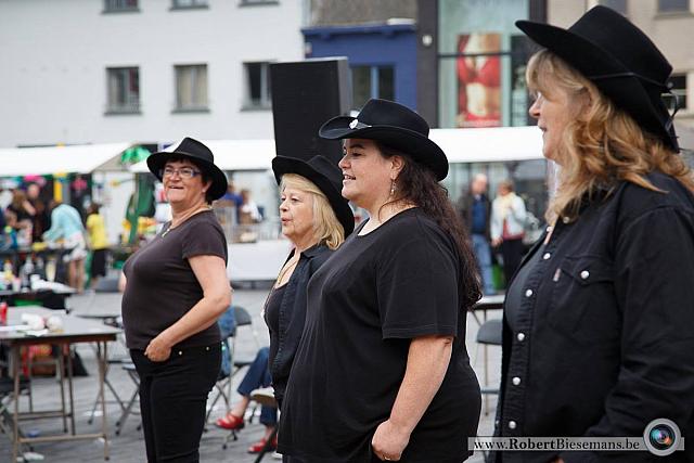 demo kapellen 2014 (11)